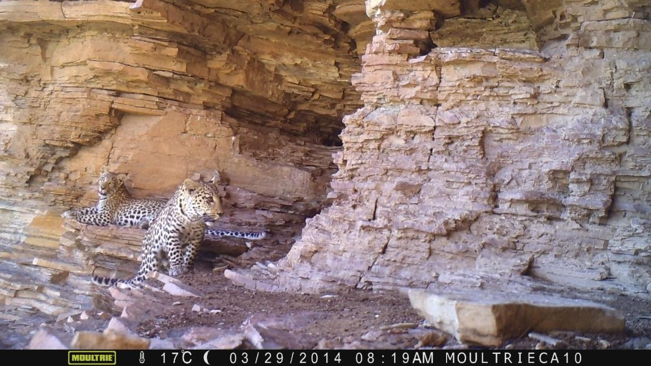 セスリエム Tsauchab River Campヴィラ エクステリア 写真