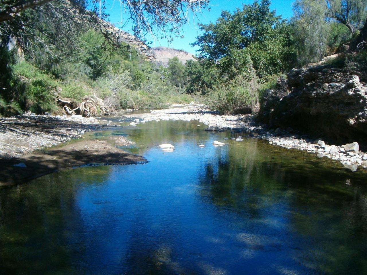 Tsauchab River Camp セスリエム エクステリア 写真