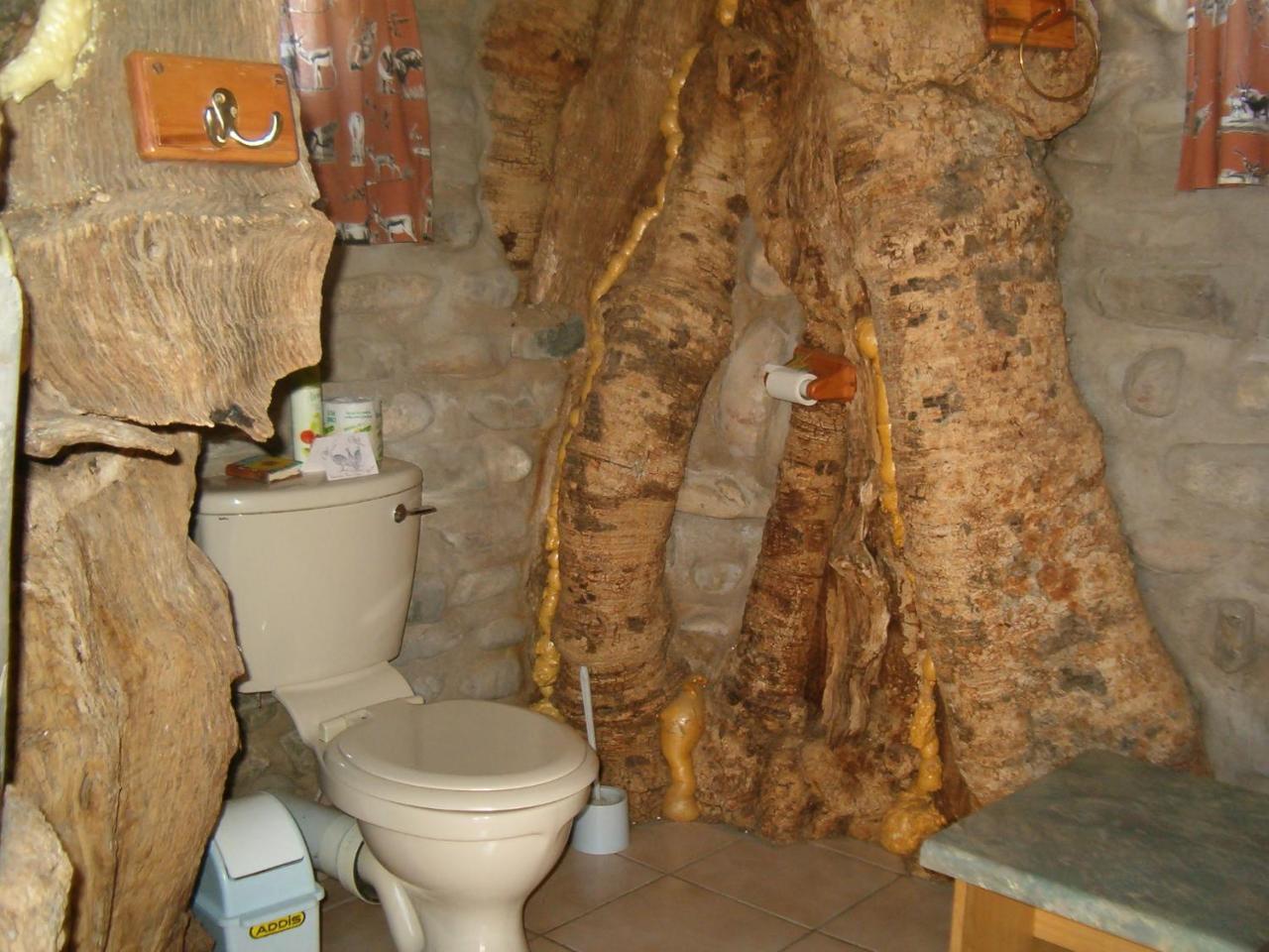 Tsauchab River Camp セスリエム エクステリア 写真